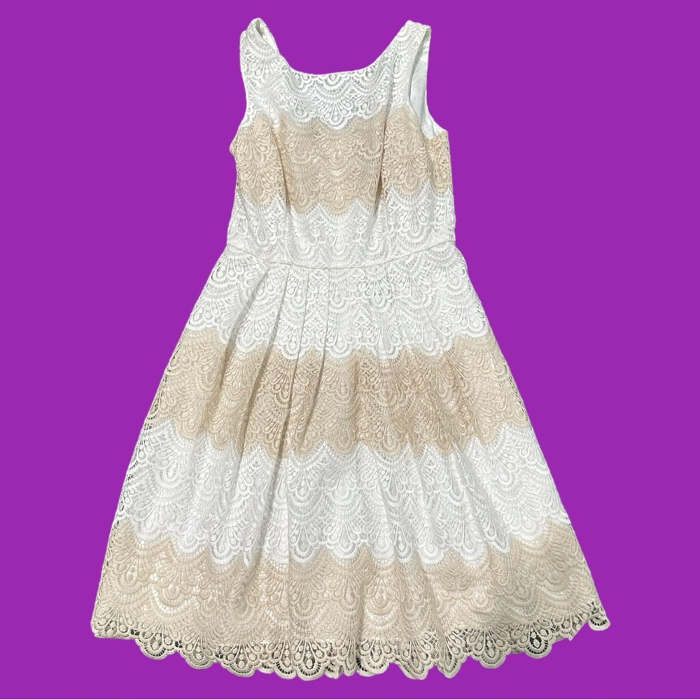 WHBM Striped Lace Fit & Flare Dress